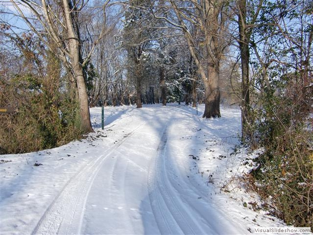 Agrilevada (4)